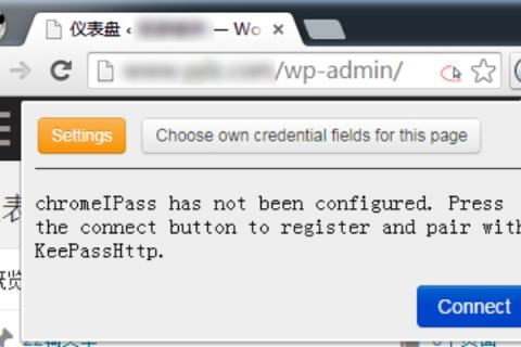 输入域名进入网站后，为何地址栏未显示www等字符？