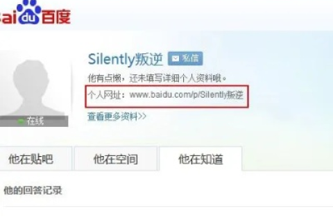 我想把我的域名解析到百度空间上