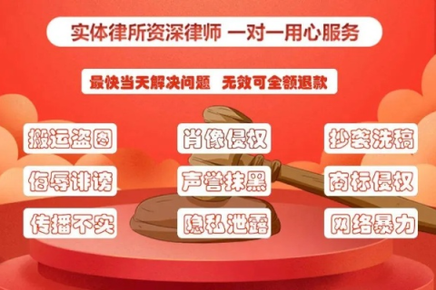遭遇域名代理商拒绝提供域名密码，应对策略与权益维护