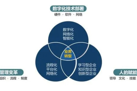 恒赛科技的实践与体验，一家企业的数字化转型之路