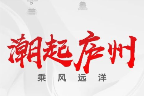 如何高效、安全地转让域名