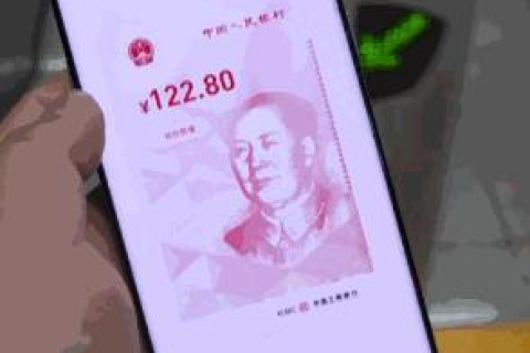 从申请到上线，我的数字世界初体验