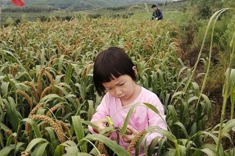 分享心得，探索地瓜云的实用魅力与用户体验