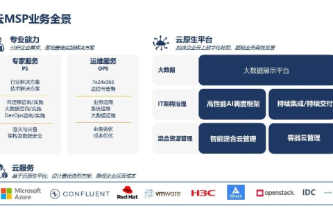 蓝队云使用心得体验与深度解析