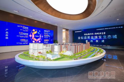 深圳鼎峰网络科技，卓越服务，打造企业数字化新生态