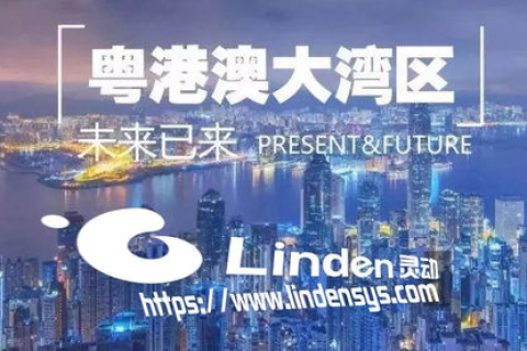 中国网创，创新与机遇并存的数字时代探索