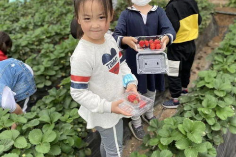 前辈们你们好，从零到一，共建免费网站的梦想之旅