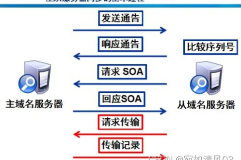 DNS服务器，本网络域名的守护者与非本网络域名的桥梁