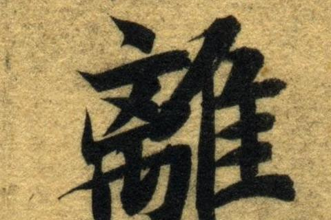 优飞互联用户真实反馈，跨国沟通的新体验
