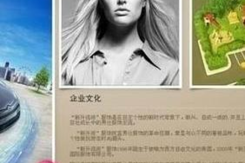 域名解析困境，空间商跑路后的应对之道