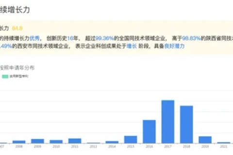 冰雷科技，创新应用与风险并存的探索之旅