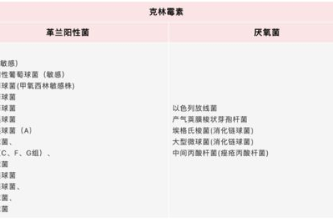 探索推荐网络，从原理到应用，你真的会用了吗？