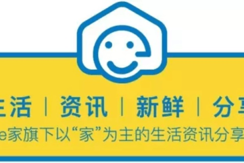 站长合租，节约成本的实用指南