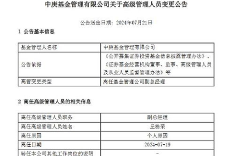 潇湘网络的用户体验报告，探寻这个网络平台的魅力与挑战