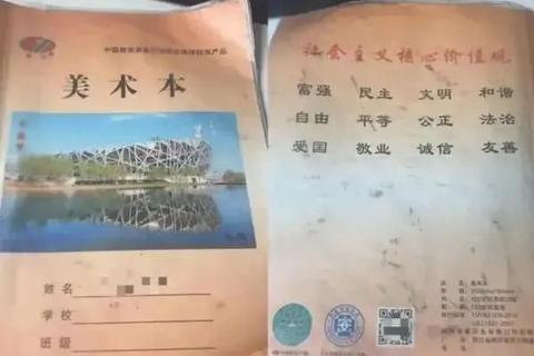 访问IP却显示域名过期，探索背后的原因与解决方案