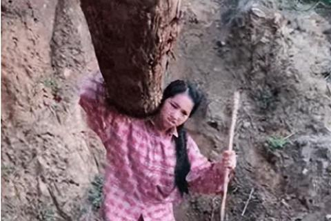 虚拟主机服务商，国内信誉度较高的选择