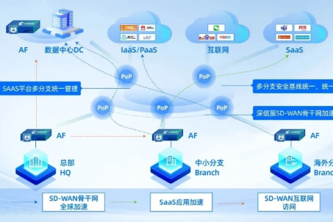 圣安网络，使用体验与深度分析