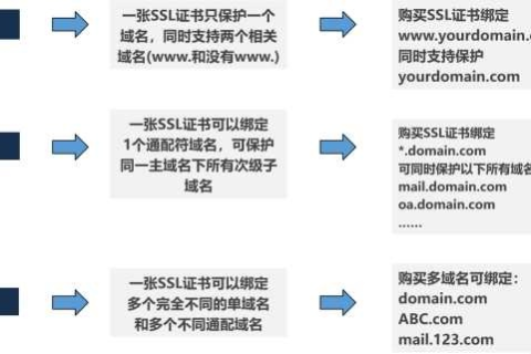 网站的域名，探索申请的可能性与策略