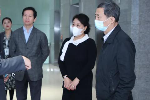苏网互联，数字化时代的网络综合性服务平台使用体验