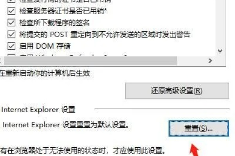 在浏览器中输入域名无法正确访问自己设置的主页，故障排除指南