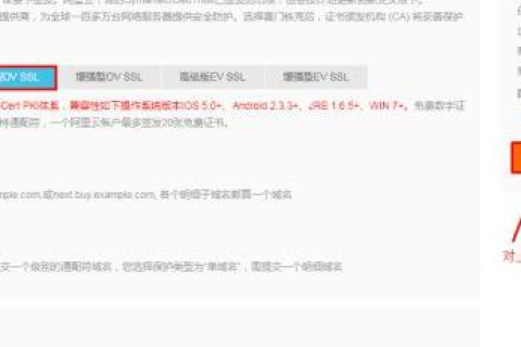 如何为我的网站申请域名，全面指南