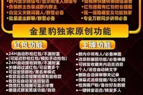金豹网络使用体验，全面分析与深度评测