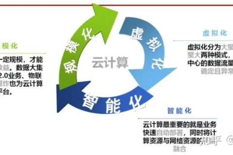 云志网络，重塑数字时代的商业版图