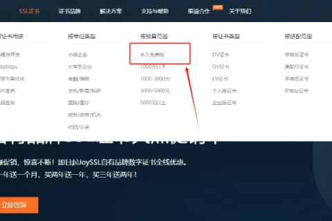 如何查看域名是否开启了泛解析