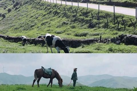 邵阳网络技术，被忽视的宝藏与用户体验探索