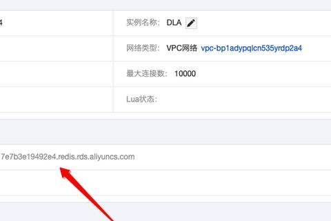 阿里云服务器上的数据库访问指南