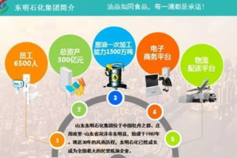 互联网域名系统，解析、历史与争议