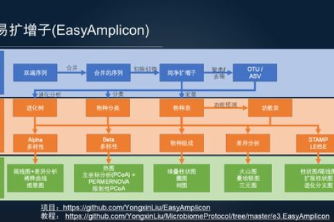 探索圣安娜数据，高效大数据管理工具的优势与实战应用解析