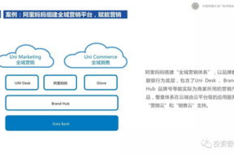 探索觉道互联，用户经验分享与深度解析