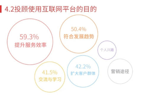 飞虎数据，揭秘真实用户的使用心得与体验