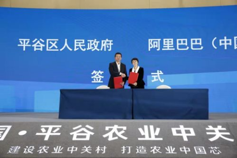 关于域名的说法，探索数字时代的网络标识与品牌构建