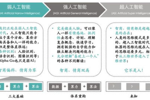 壹品网络，用户体验与实际效果的深度解析