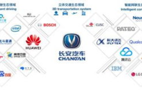 金博网络使用心得，开启智能化网络新纪元的探索之旅