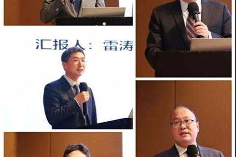 不同域名同名字但对方未备案，备案争议中的法律立场解析