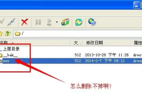虚拟主机空间里FTP工具删除不了的文件怎么办