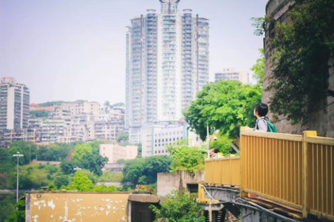 重庆域名购买，探索山城网络地标的构建之旅