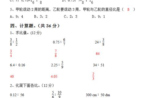 六升网络，探索其使用体验及其在现代企业中的应用实践