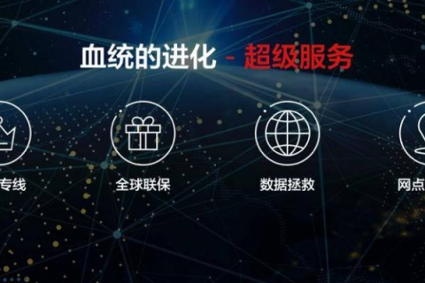 使用千讯网络科技的全面体验，从高效检测到卓越服务