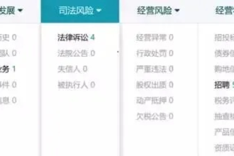 公司没有营业执照，域名备案能否使用其他公司资料？法律风险与合规性分析