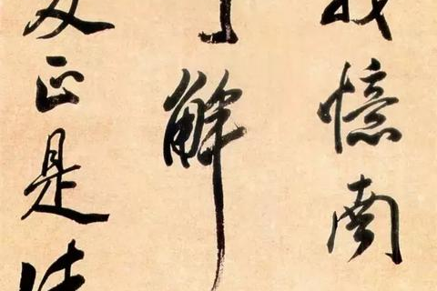 探索百佳人网的真实使用体验，揭秘其可靠性、功能与用户体验