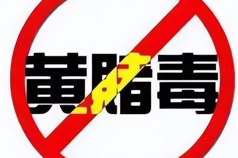 关于域名备案问题，深度解析与应对策略