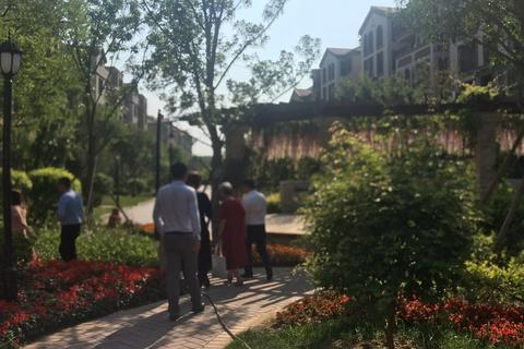 员跃科技，探索智能办公的新境界