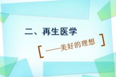 探索诺佰科技的应用实践，从理论到实际的跨域探索
