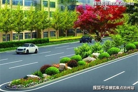 本机自动获取DNS，网络解析的幕后英雄