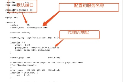 实现任意域名反向代理，详解Nginx配置
