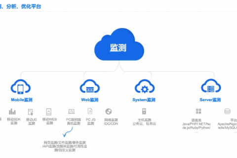探寻香港壹品网络的真实面貌，用户体验与评估